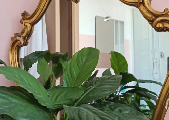 Brignole * Генуя